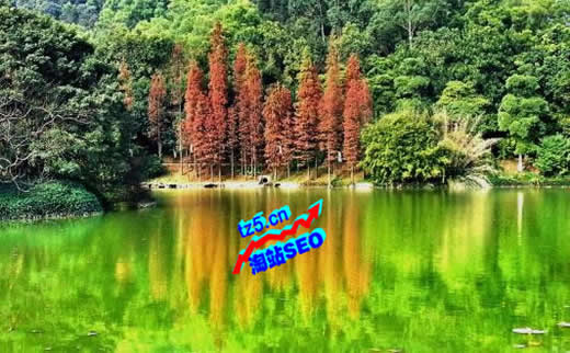 佛山网站优化:新网站杀手小心掉进友情链接陷阱_广州SEO_效果付费(图2) 佛山网站优化:新网站杀手小心掉进友情链接陷阱_广州SEO_效果付费(图2)