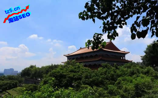 【SEO诊断】设计师玩具行业做好的运营让你收获有奇效_淘站SEO_效果付费(图2) 【SEO诊断】设计师玩具行业做好的运营让你收获有奇效_淘站SEO_效果付费(图2)
