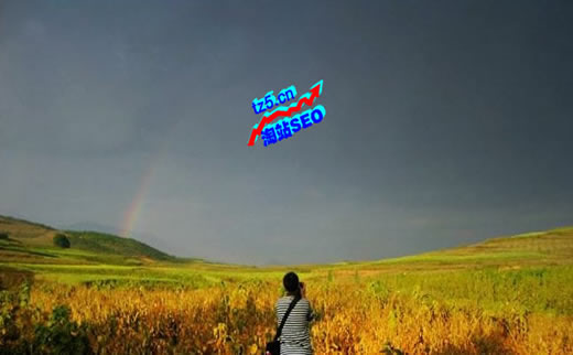 【SEO结构优化】削片机行业做好的运营让你收获有奇效_淘站SEO_效果付费(图3) 【SEO结构优化】削片机行业做好的运营让你收获有奇效_淘站SEO_效果付费(图3)