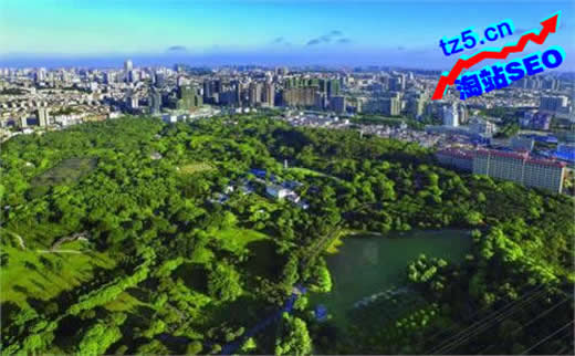 【百度快照是什么】慣性玩具行業SEO排名布局_淘站SEO_效果付費(圖4) 【百度快照是什么】慣性玩具行業SEO排名布局_淘站SEO_效果付費(圖4)