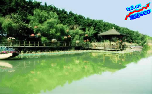【泊君SEO】照相机ic行业如何进行网站推广?_淘站SEO_效果付费(图1) 【泊君SEO】照相机ic行业如何进行网站推广?_淘站SEO_效果付费(图1)