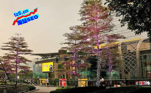 【SEO优化建议】酱釉古玩行业SEO外链注意事项_淘站SEO_效果付费(图3) 【SEO优化建议】酱釉古玩行业SEO外链注意事项_淘站SEO_效果付费(图3)