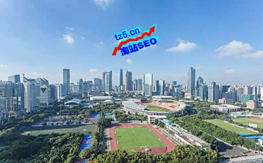【泛域名解析】运动手套行业SEO是怎么做的?_淘站SEO_效果付费(图2) 【泛域名解析】运动手套行业SEO是怎么做的?_淘站SEO_效果付费(图2)