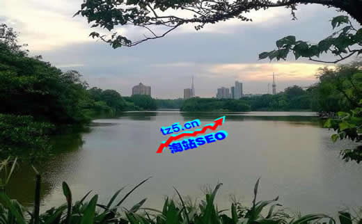 【SEO優化知識】小家電開關行業SEO外鏈注意事項_淘站SEO_效果付費(圖3) 【SEO優化知識】小家電開關行業SEO外鏈注意事項_淘站SEO_效果付費(圖3)