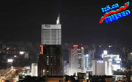 【珠海SEO】金融保险网站行业SEO排名布局_淘站SEO_效果付费(图4) 【珠海SEO】金融保险网站行业SEO排名布局_淘站SEO_效果付费(图4)
