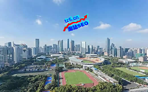 【SEO外包】速凝剂行业SEO如何着手_淘站SEO_效果付费(图2) 【SEO外包】速凝剂行业SEO如何着手_淘站SEO_效果付费(图2)