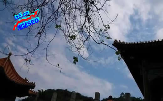 【百度网站收录】婚庆用品行业SEO推广看完赶紧用!_淘站SEO_效果付费(图1) 【百度网站收录】婚庆用品行业SEO推广看完赶紧用!_淘站SEO_效果付费(图1)
