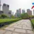 【乐昌长来SEO】张溪香芋行业SEO外链应该怎么去做?