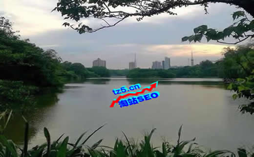 【張巖seo】超大門行業SEO思維方式到底是怎樣的?_淘站SEO_效果付費(圖5) 【張巖seo】超大門行業SEO思維方式到底是怎樣的?_淘站SEO_效果付費(圖5)