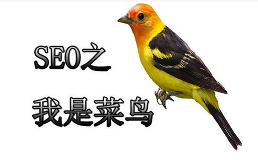 【信宜思贺镇SEO】旅游景点行业不断的变通的SEO方法_淘站SEO_效果付费(图4) 【信宜思贺镇SEO】旅游景点行业不断的变通的SEO方法_淘站SEO_效果付费(图4)