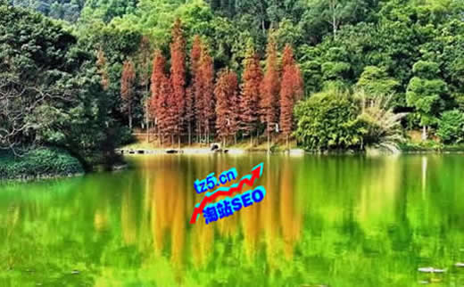 【百度快速收录】场地布景行业SEO是怎么做的?_淘站SEO_效果付费(图2) 【百度快速收录】场地布景行业SEO是怎么做的?_淘站SEO_效果付费(图2)
